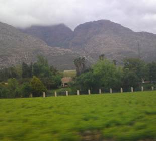 Some views from wine regions