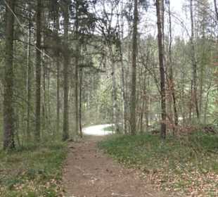 Wanderweg Hochgehswiggert