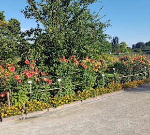 Botanischer Garten