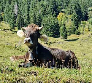 Wandern Bad Hindelang