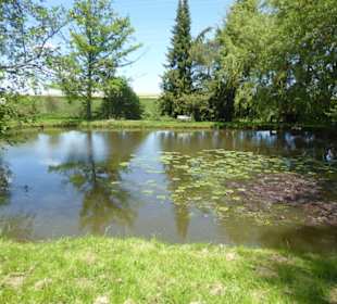 Wanderweg Mariabrunn-Röhrmoos