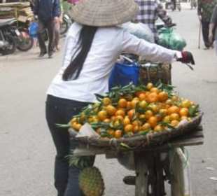 Das Mandarinenmädchen