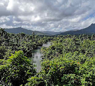El Yunque