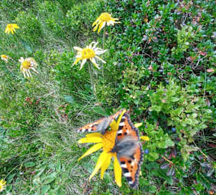 Wandern St. Michael im Lungau