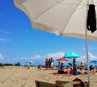 Am Hundestrand freier Bereich