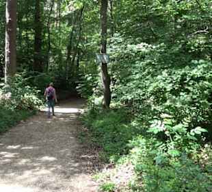 Wanderweg Märchensee Runde