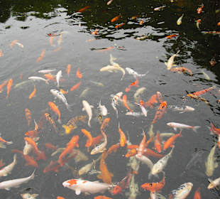 Begrüßung im Loroprk