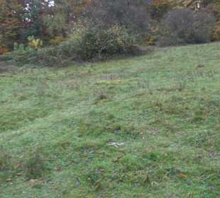 Schaukel auf den Knaupwiesen