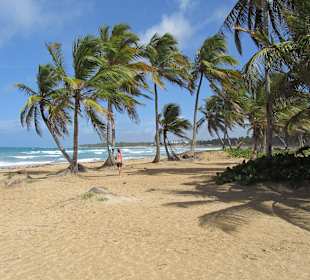 Am Ende der Eco-Caribe Tour / Traumstrand