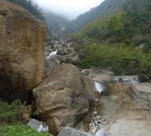 Restaurant Dantak Canteen