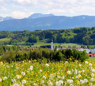 Wandern Waging am See