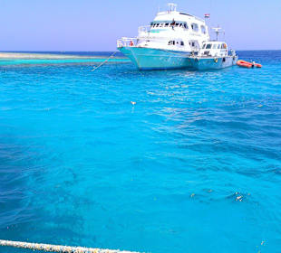 Экскурсия на остров Утопия