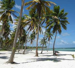 Palmen, Sonne, Strand und Meer... wie im Paradies