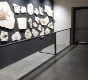 Dinosaurier Museum Altmühltal