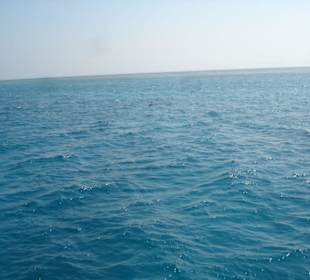 Wunderschöner Ausflug mit SimSim Reisen