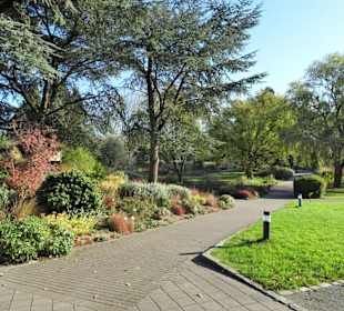 Rundgang durch den Botanischen Garten Hamburg