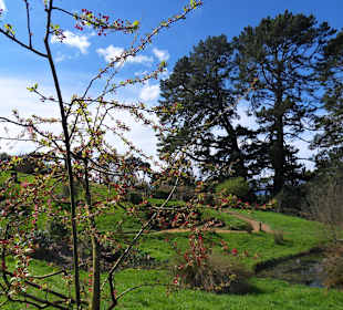 Hobbitton