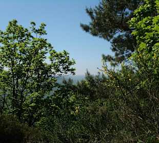 Schatten und Sonne im Wechsel