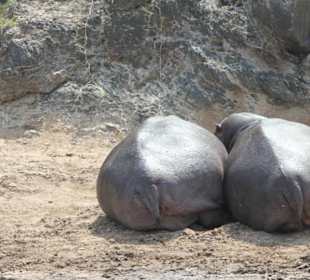 Gemürliche Zweisamkeit
