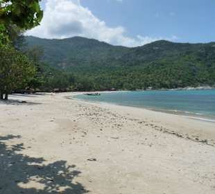 Bottle Beach