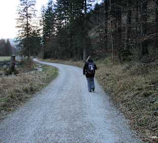 Auf dem Falkensteinrundweg 