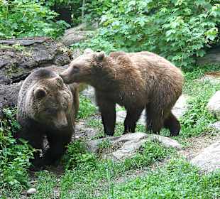 Alpenzoo Innsbruck