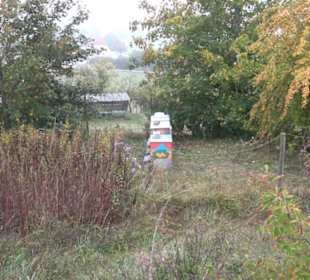 Erlebnisbauernhof und Wildgehege