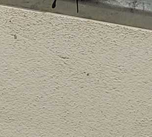 Schmetterlingsgarten