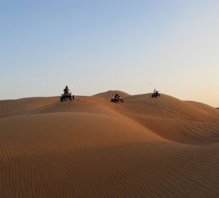 Wüstensafari