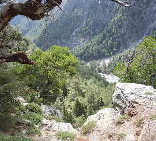 Samaria-Schlucht