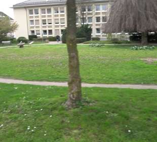 New Britain Park Rastatt