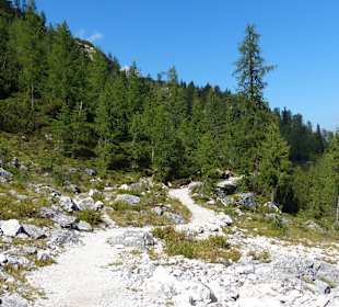 Abwechselungsreicher aber auch unebener We