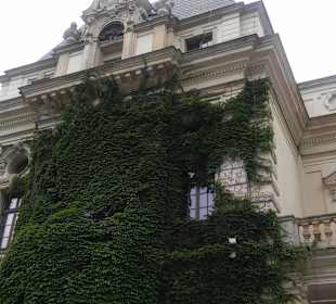 Altstadt Breslau/Wroclaw