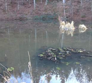 Schönbuch Schaichtal