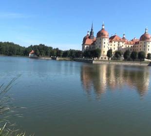 Schloss Moritzburg