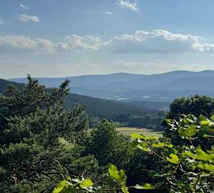 Ausblick
