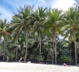 Strand