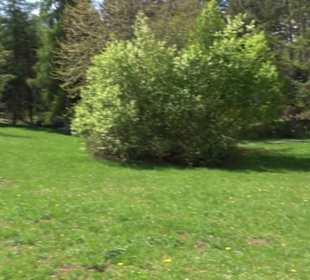 Rundweg am Beutenlay