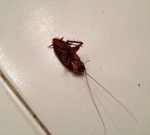 Toilette von der Bar