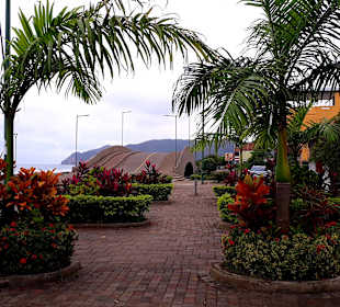 Rundgang Puerto Lopez