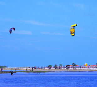 Strand Bibione 06_2011