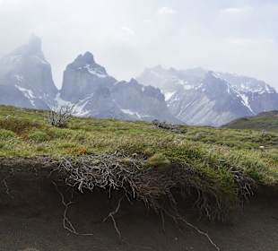 Park Narodowy Torres del Paine