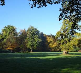 Herbstspaziergang durch den Schlosspark Lütetsburg