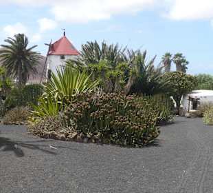 Museo Agrilcola El Patio - Tiagua