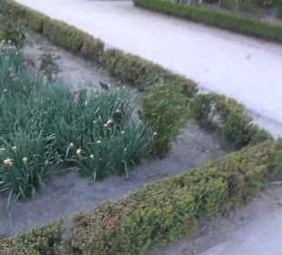 Real Jardín Botánico de Madrid