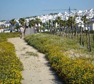 Wanderweg bei Conil