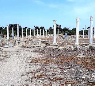 Ruinenstadt Salamis