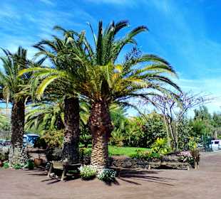 Oasis Park in La Lajita