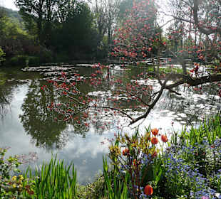 Gärten von Claude Monet