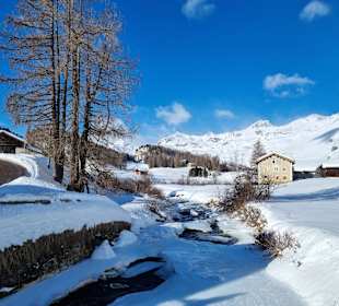 Winterfreuden im Val Fex